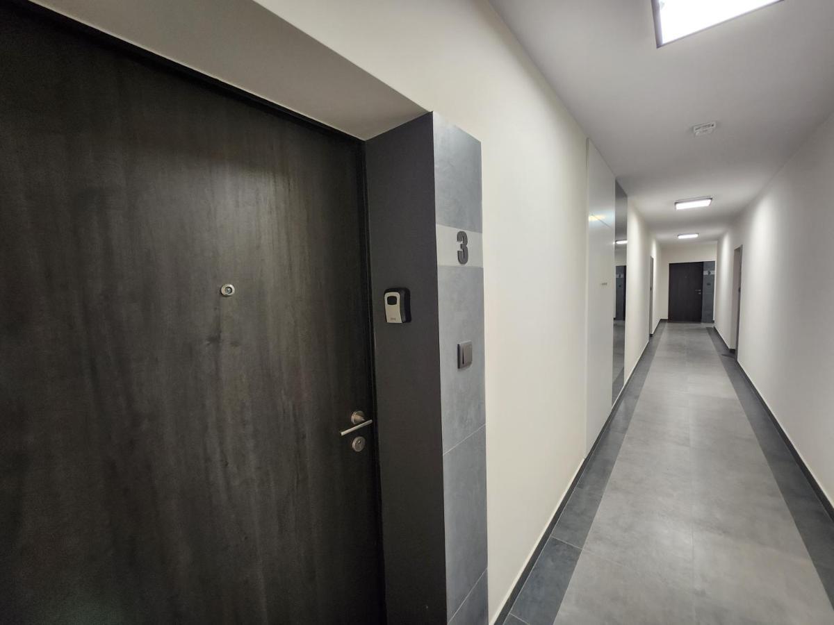 Dwa Jelonki, Ul Sciegiennego, Centrum, Garaz, Ogrodek Кельце Экстерьер фото